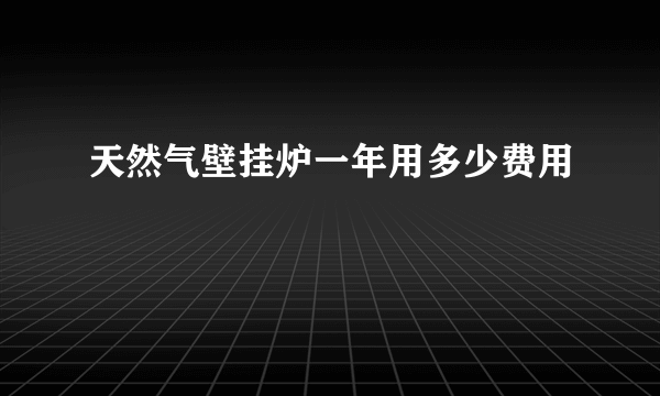 天然气壁挂炉一年用多少费用