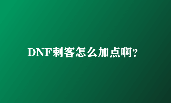 DNF刺客怎么加点啊？