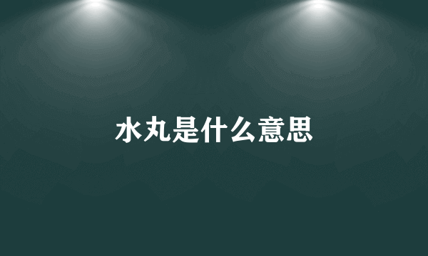 水丸是什么意思