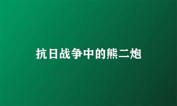 抗日战争中的熊二炮