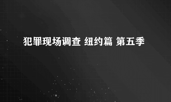 犯罪现场调查 纽约篇 第五季