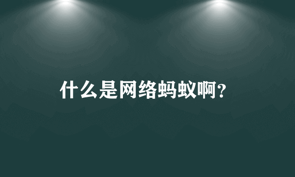 什么是网络蚂蚁啊？