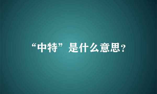 “中特”是什么意思？