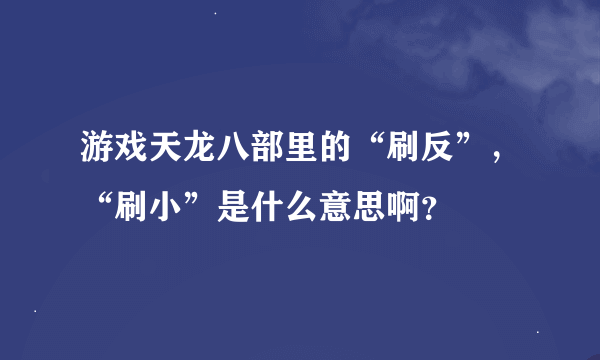 游戏天龙八部里的“刷反”，“刷小”是什么意思啊？