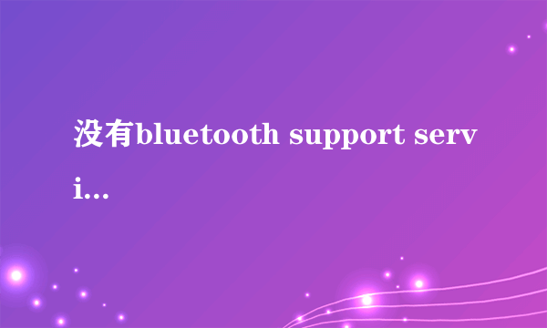 没有bluetooth support service怎么办