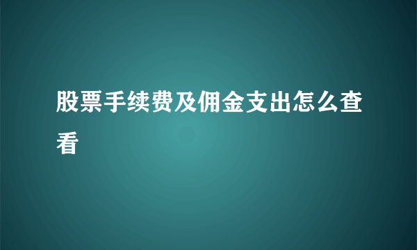 股票手续费及佣金支出怎么查看