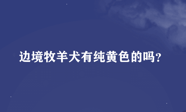 边境牧羊犬有纯黄色的吗？