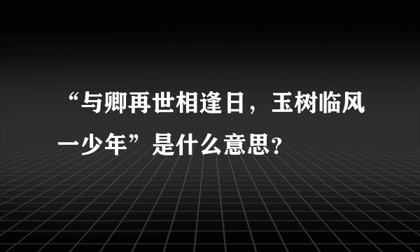 “与卿再世相逢日，玉树临风一少年”是什么意思？