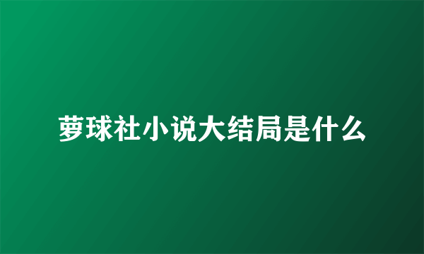 萝球社小说大结局是什么