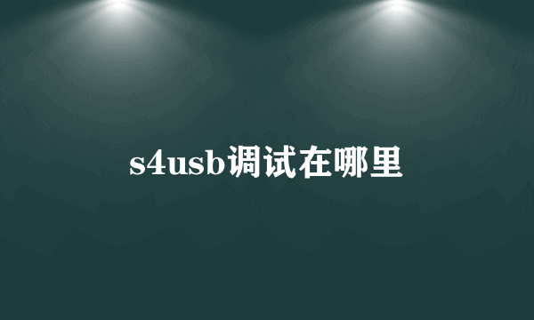 s4usb调试在哪里