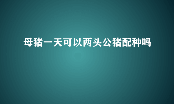 母猪一天可以两头公猪配种吗