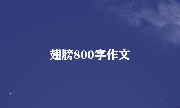 翅膀800字作文