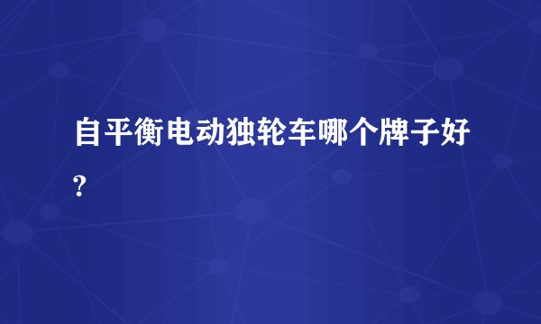 自平衡电动独轮车哪个牌子好?