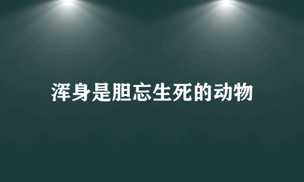 浑身是胆忘生死的动物