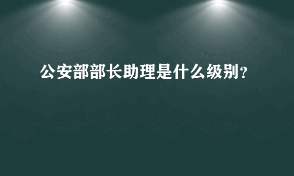 公安部部长助理是什么级别？