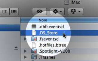 .DS_Store是个什么东西啊??怎么打开啊?