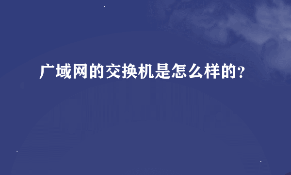 广域网的交换机是怎么样的？