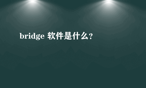 bridge 软件是什么？