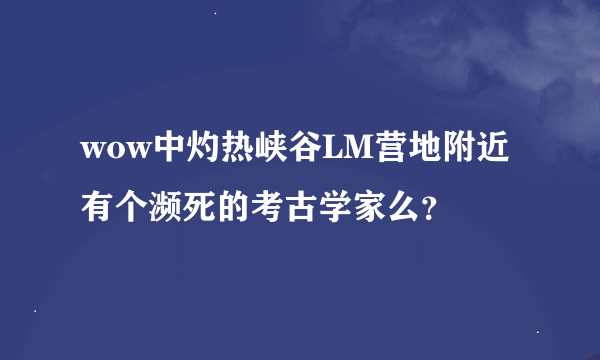 wow中灼热峡谷LM营地附近有个濒死的考古学家么？