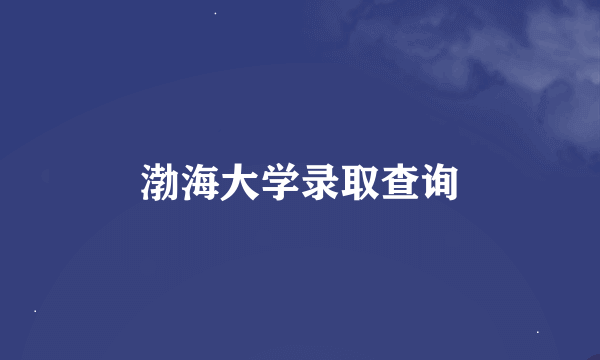 渤海大学录取查询