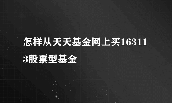 怎样从天天基金网上买163113股票型基金