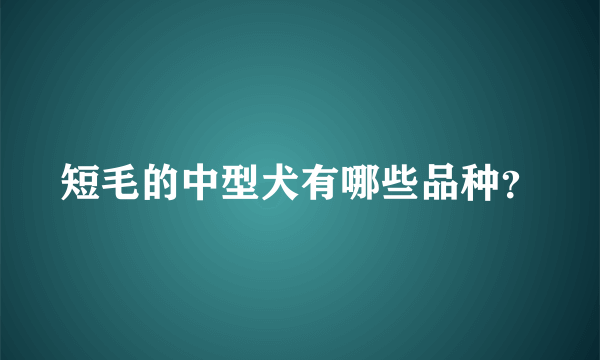 短毛的中型犬有哪些品种？