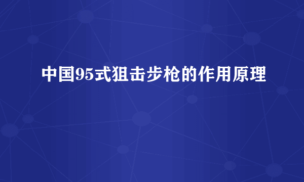 中国95式狙击步枪的作用原理