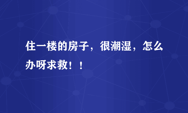 住一楼的房子，很潮湿，怎么办呀求救！！