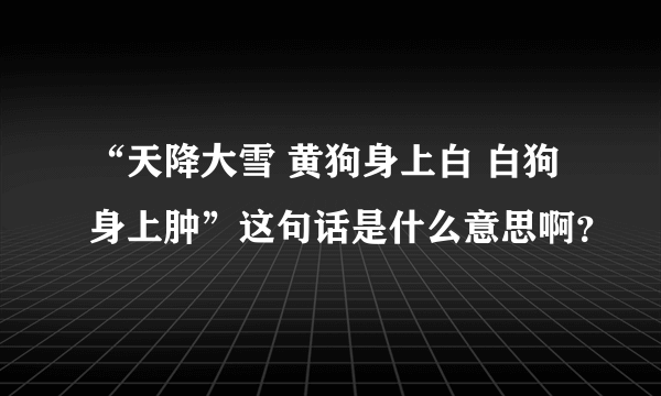 “天降大雪 黄狗身上白 白狗身上肿”这句话是什么意思啊？