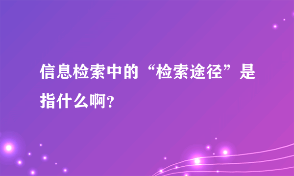 信息检索中的“检索途径”是指什么啊？