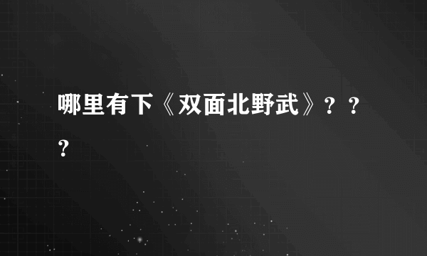 哪里有下《双面北野武》？？？