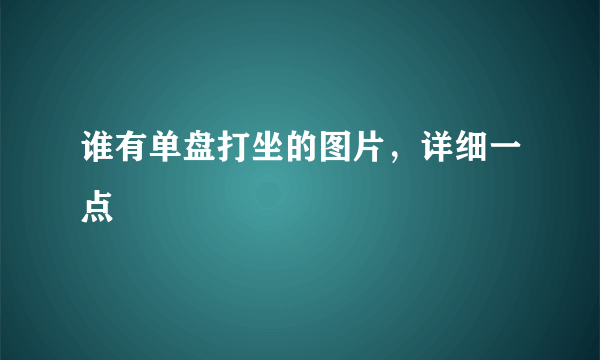 谁有单盘打坐的图片，详细一点