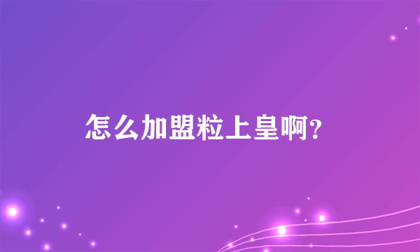 怎么加盟粒上皇啊？