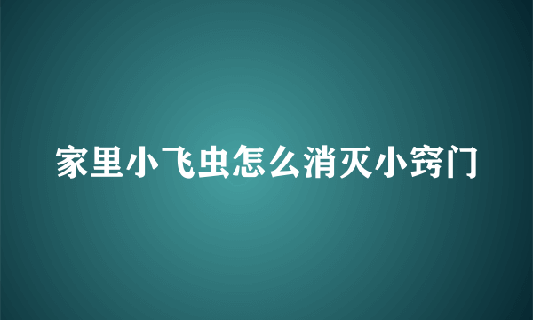 家里小飞虫怎么消灭小窍门