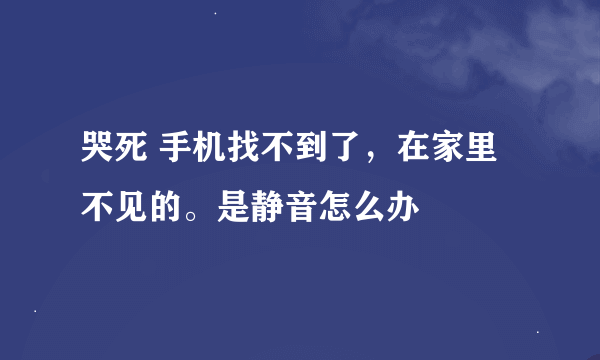 哭死 手机找不到了，在家里不见的。是静音怎么办