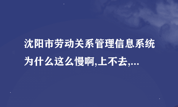 沈阳市劳动关系管理信息系统为什么这么慢啊,上不去,上去一会就掉,什么网站啊,折磨人呢啊