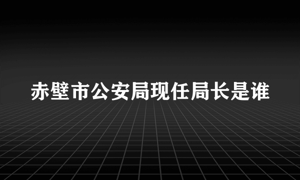 赤壁市公安局现任局长是谁