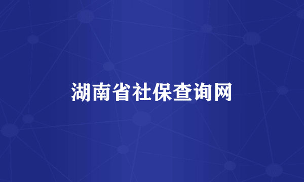 湖南省社保查询网