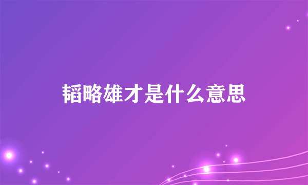 韬略雄才是什么意思