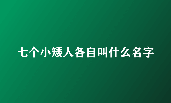 七个小矮人各自叫什么名字