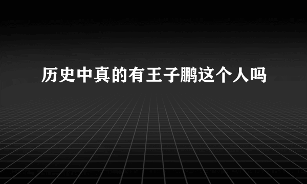 历史中真的有王子鹏这个人吗