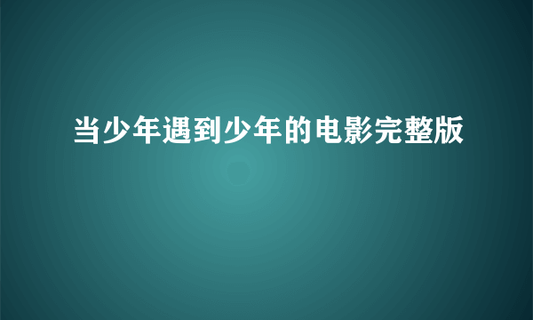 当少年遇到少年的电影完整版