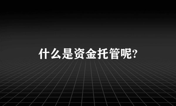 什么是资金托管呢?