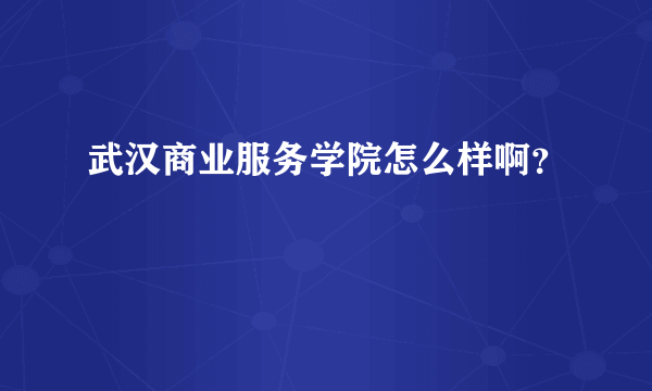 武汉商业服务学院怎么样啊？