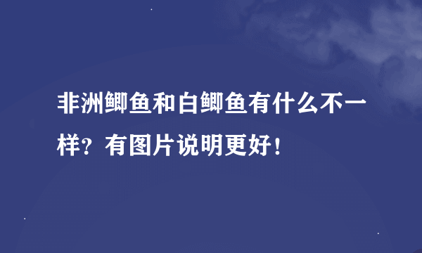 非洲鲫鱼和白鲫鱼有什么不一样？有图片说明更好！