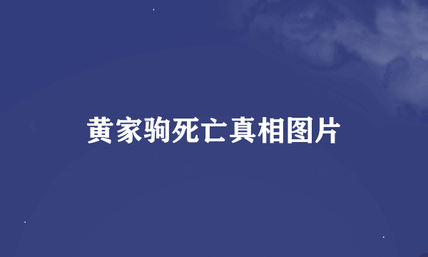 黄家驹死亡真相图片