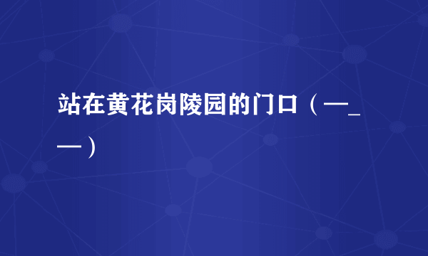 站在黄花岗陵园的门口（—_—）