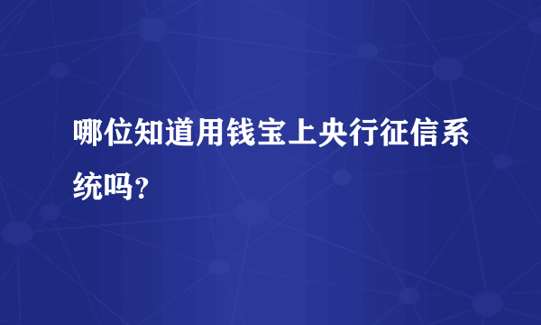 哪位知道用钱宝上央行征信系统吗？