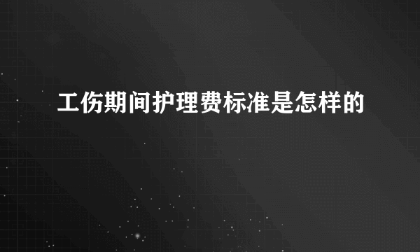 工伤期间护理费标准是怎样的