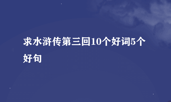 求水浒传第三回10个好词5个好句